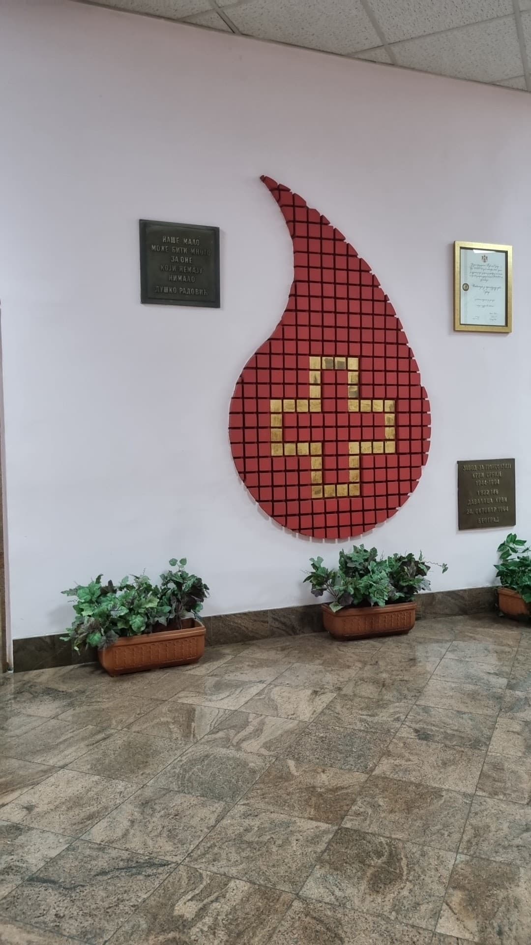 Blood Transfusion Institute of Serbia — photo 1