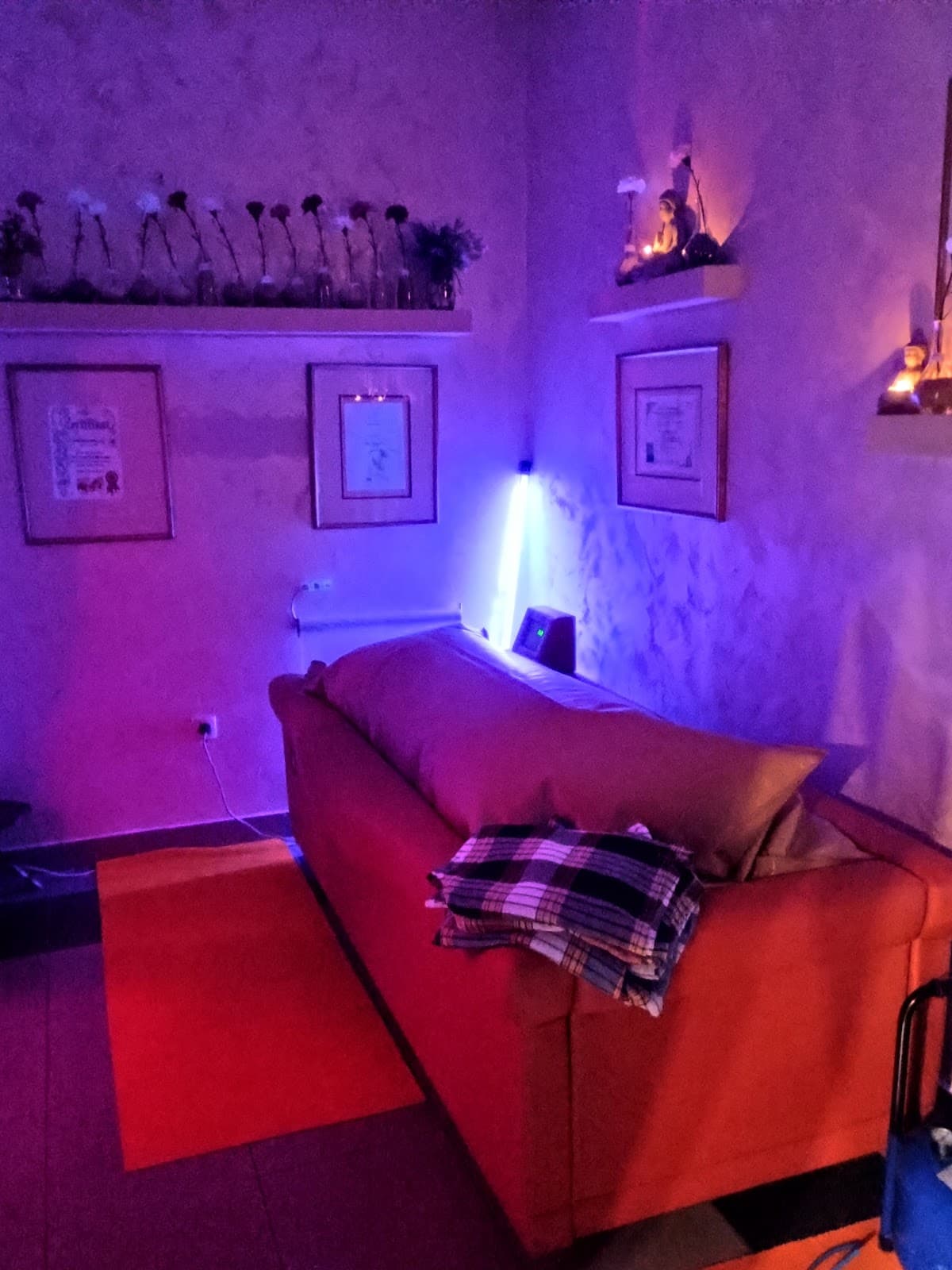 FitMe Studio – Xbody EMS Trening & Sauna studio – Vračar/Zvezdara — photo 1
