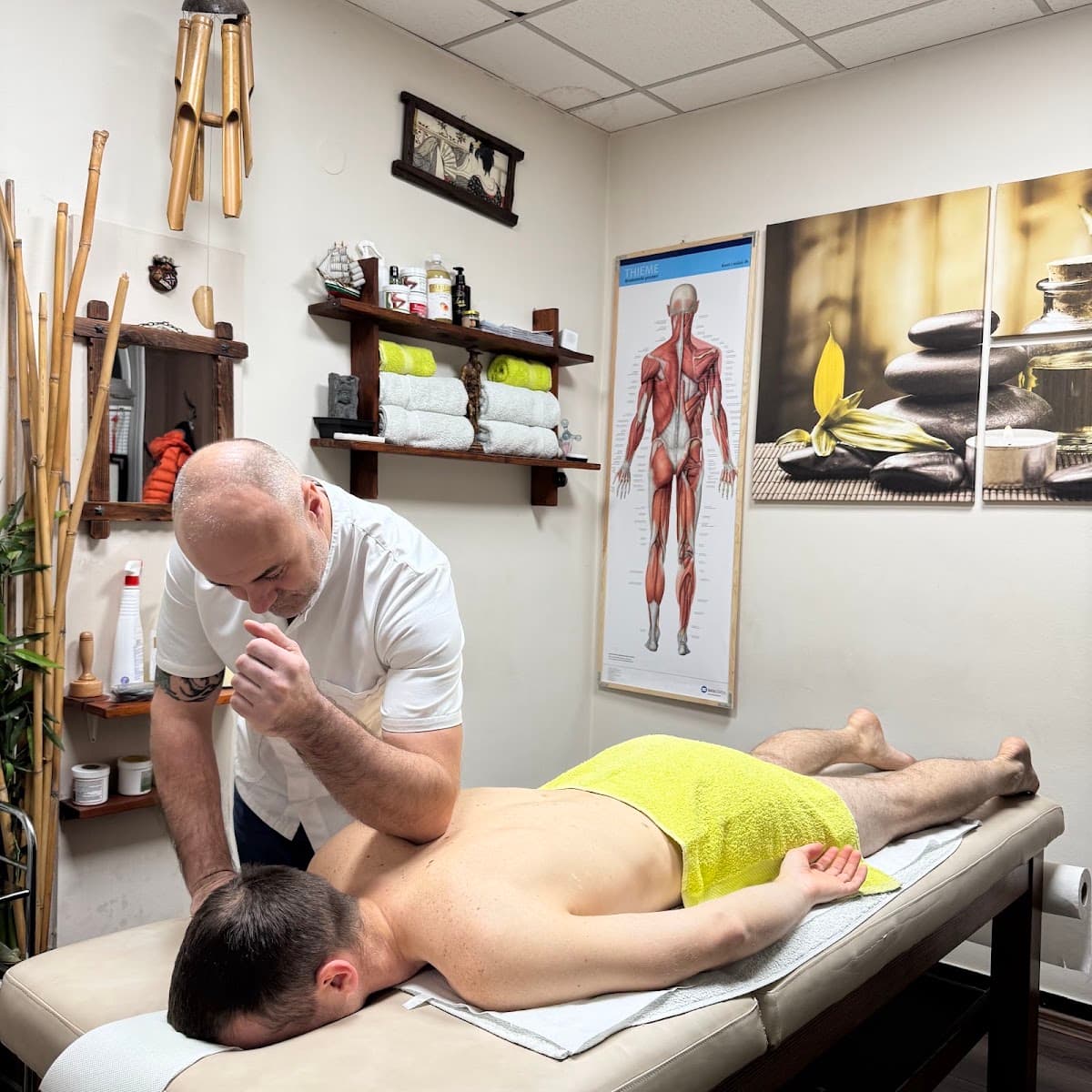 Igor Fizio - Salon za masažu — Massage Therapy in Bulevar Mihajla Pupina, Other