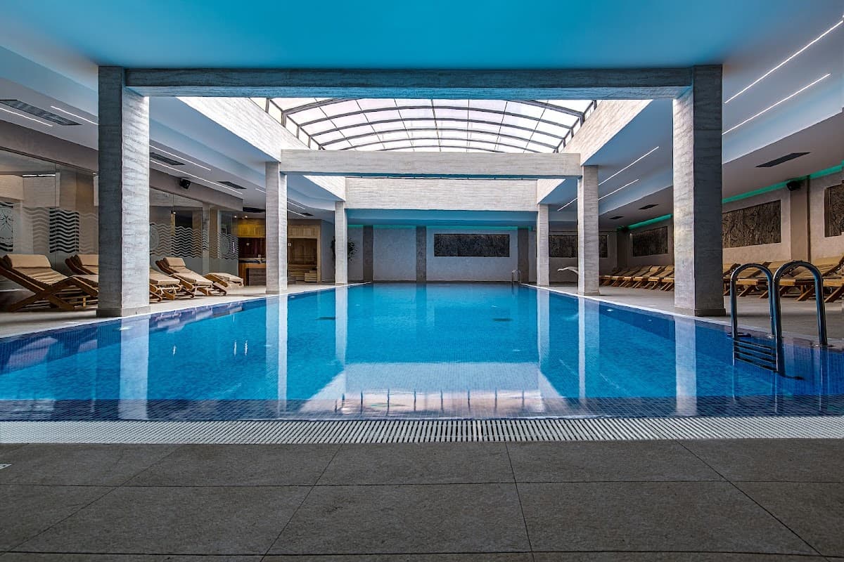 Papillon SPA Centar Beograd — photo 1