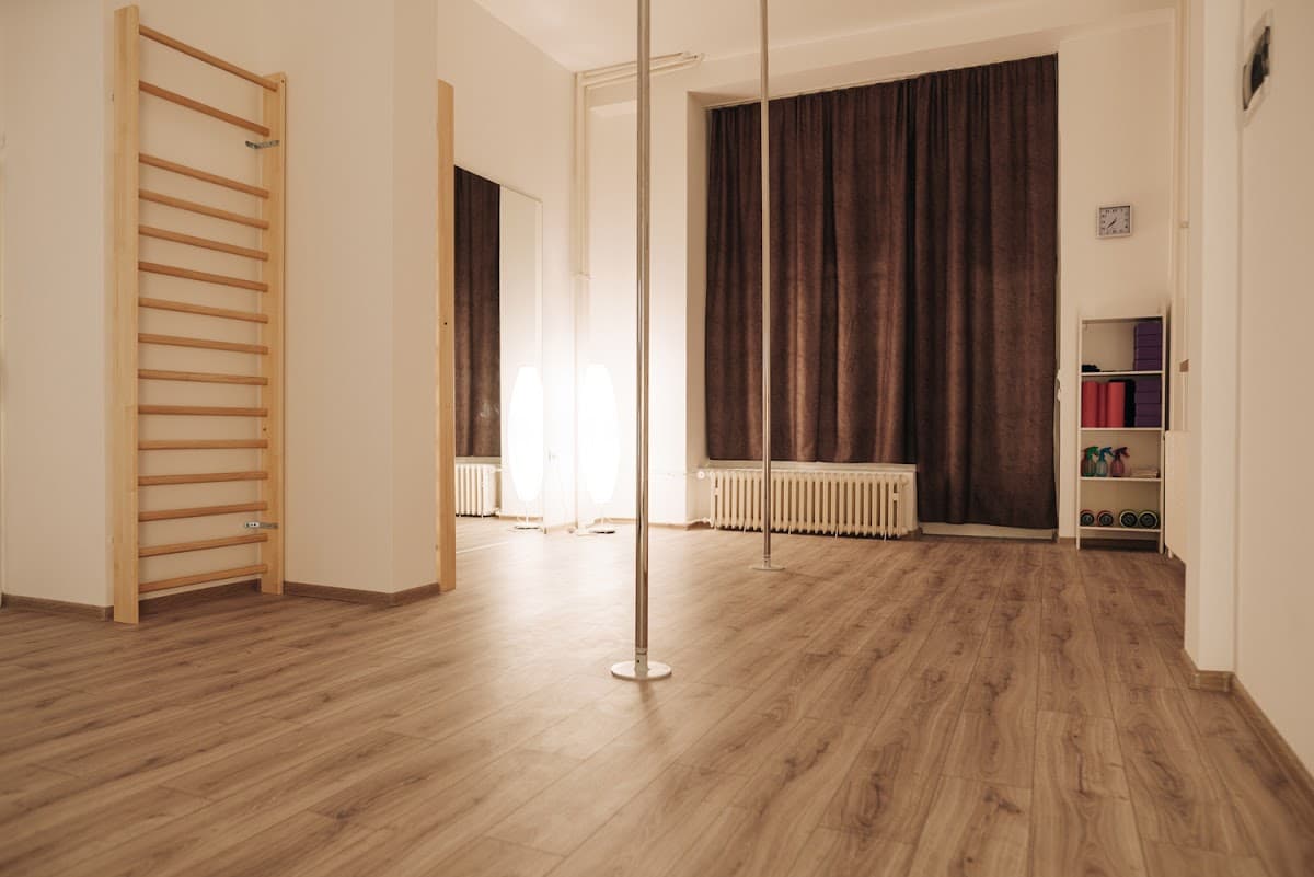 Pole Plus Studio — photo 1