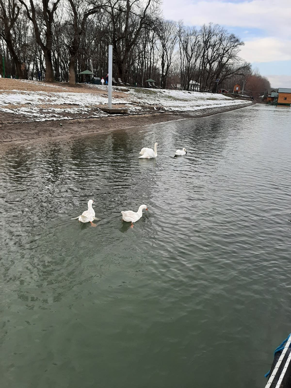 Splav Sinđelići — photo 1