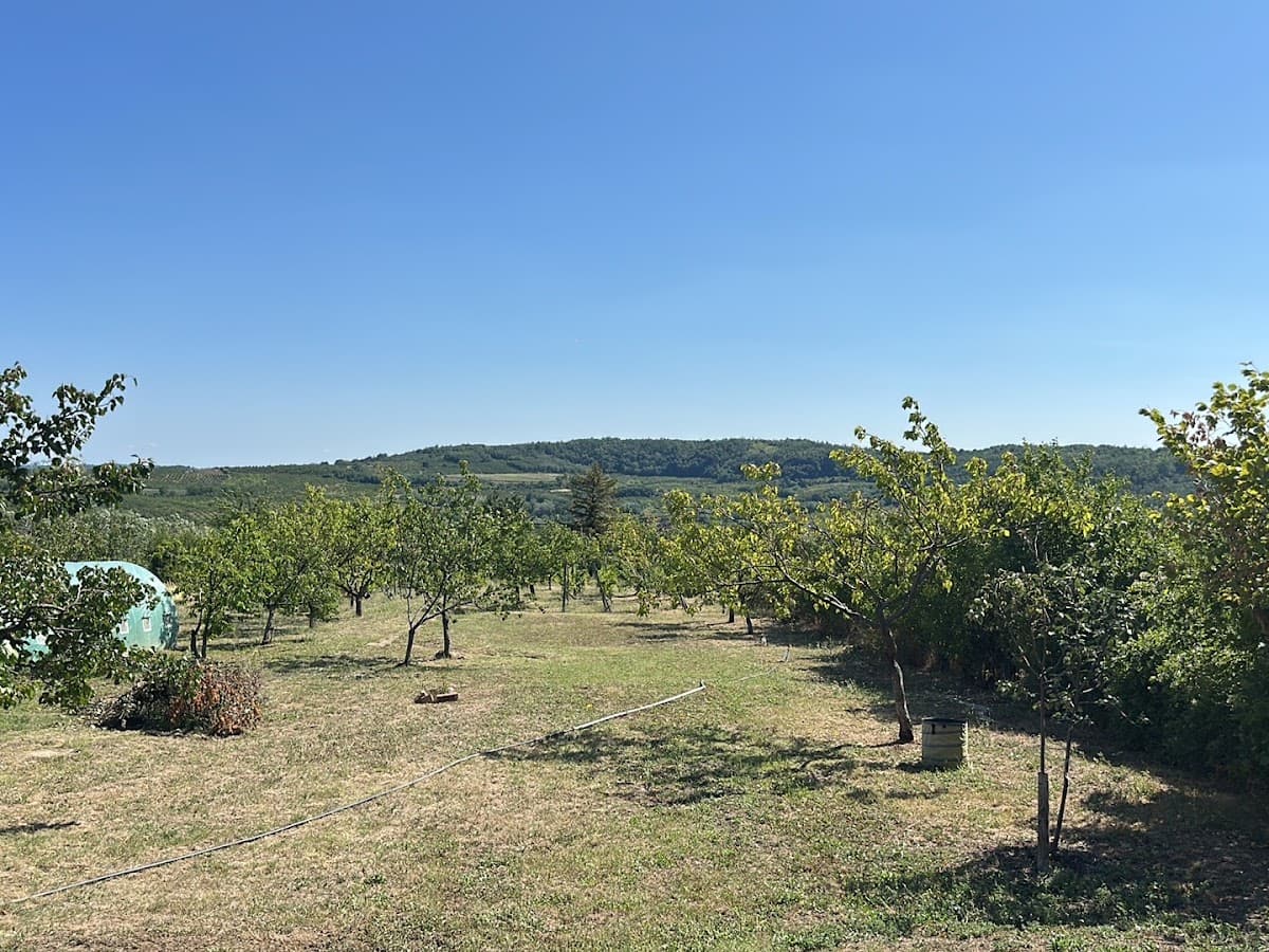 Zaklopacha Resort — photo 1