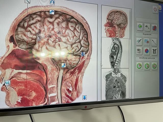 Kvantna medicina- specijalista interne medicine Dr Maja Stojanović — photo 1