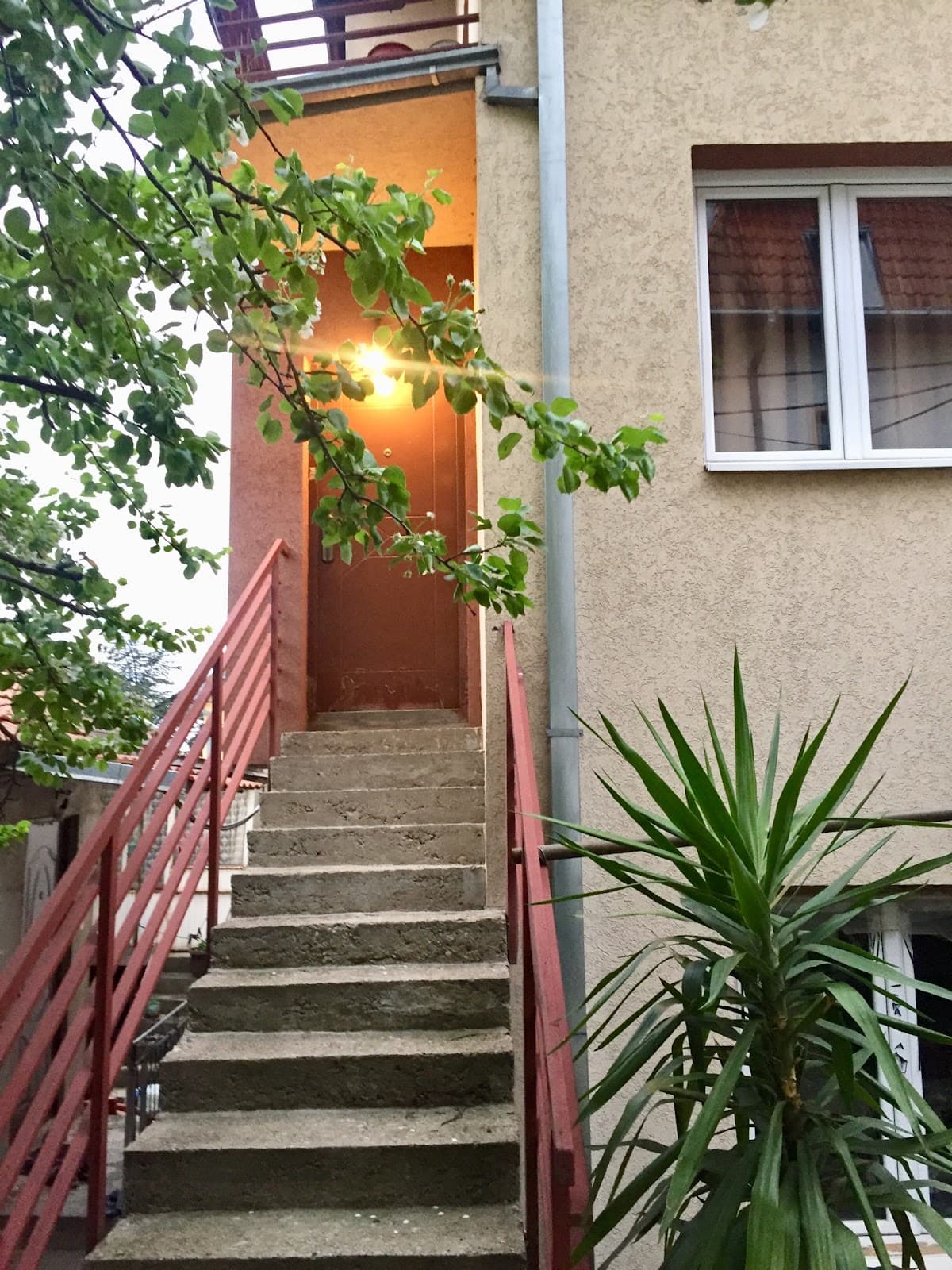 MayaHealth - Centar dobrih navika — photo 1
