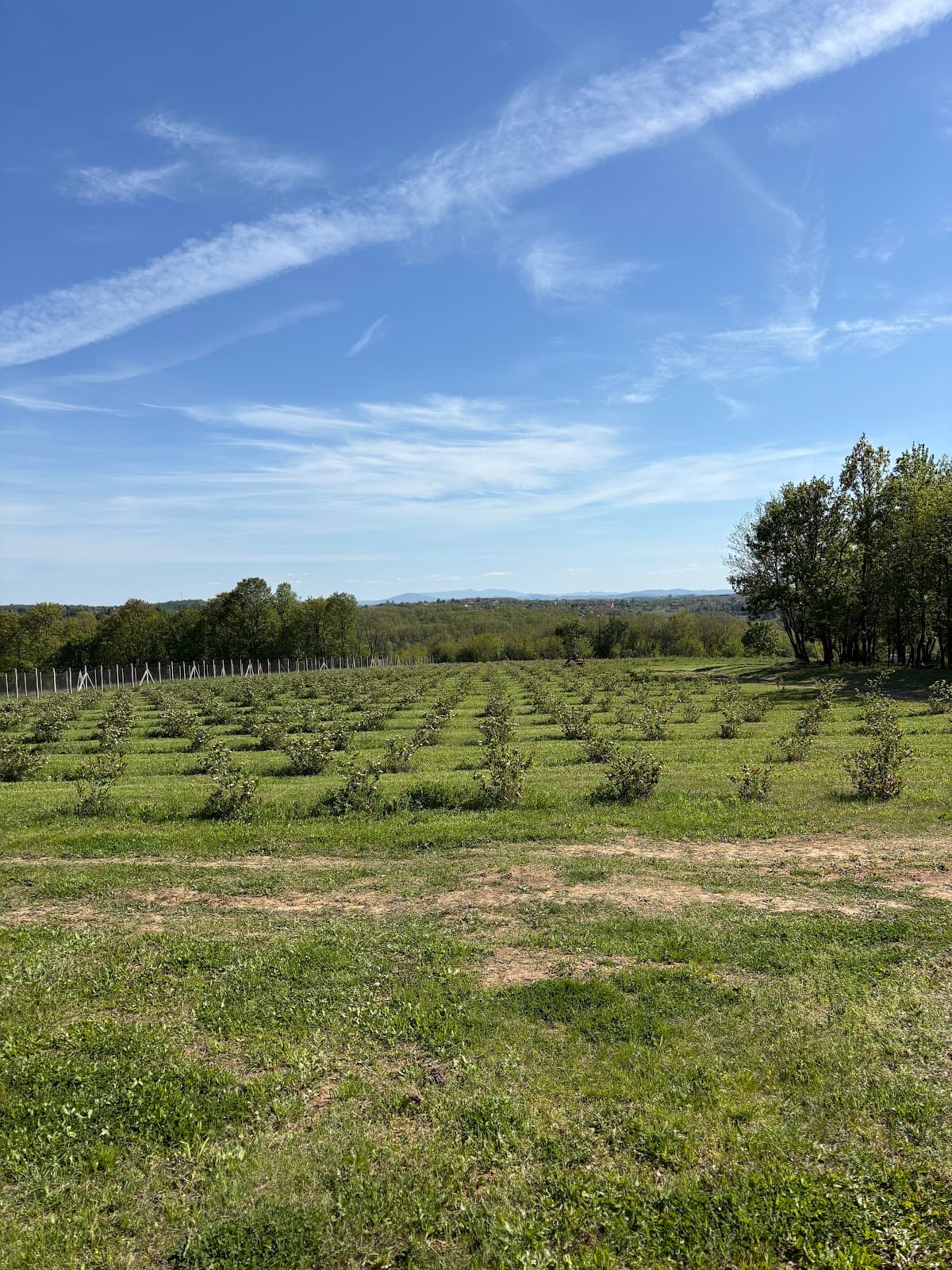 Rehabilitacioni Centar za Hortikulturnu Terapiju (RCHT) — photo 1