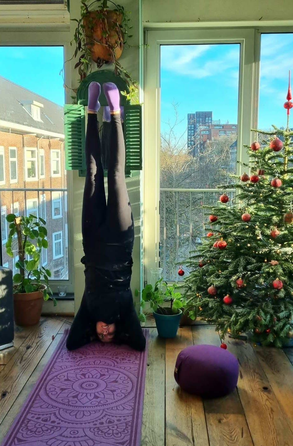SUZANA LAH YOGA STUDIO BEOGRAD — photo 1